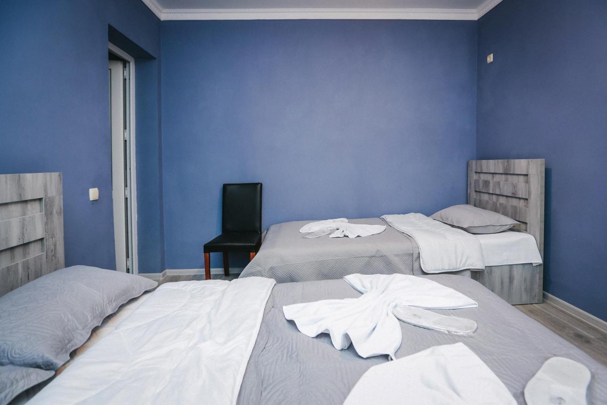 Bebo&Babu Guest House Kutaisi Bagian luar foto